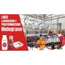 Linee complete lavorazione melograno