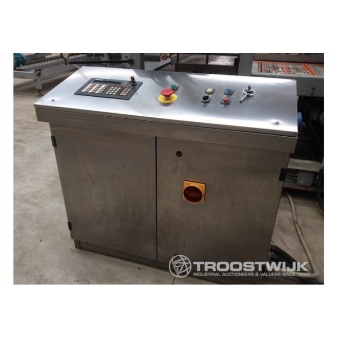 PALLETTIZZATORE marca BORTOLIN